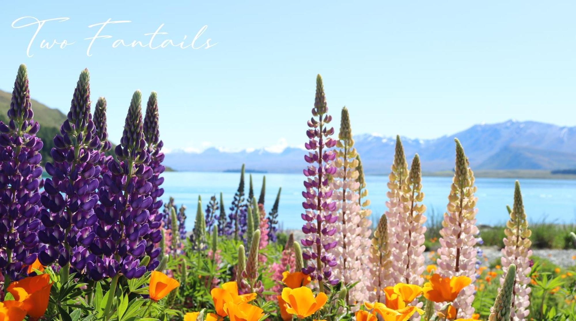 Two Fantails - Mountain Views Villa Lake Tekapo Dış mekan fotoğraf